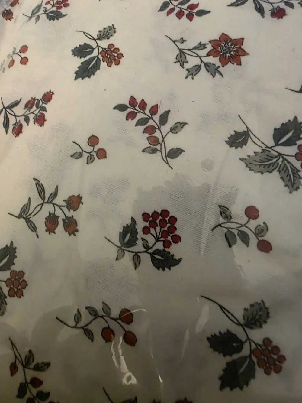 Charter Club White Flannel Sheet Set with Red and Green Floral Print